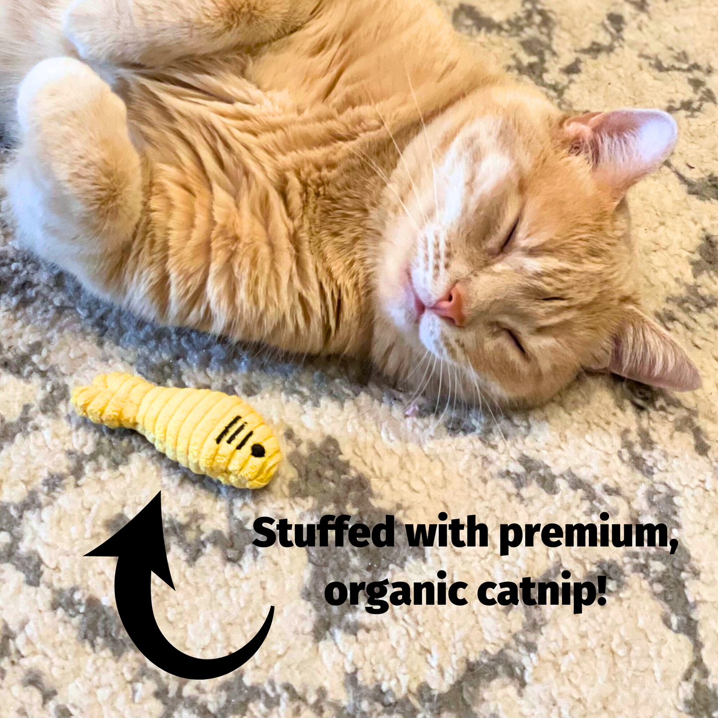 HuggleKatsÂŽ Wee Chippie and His Acorn Cat Toy Set
