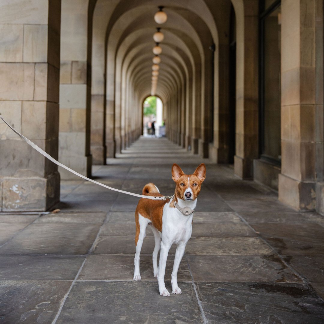 Lead the Way