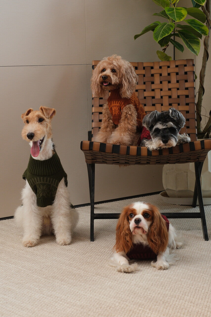 Dressed for Walks