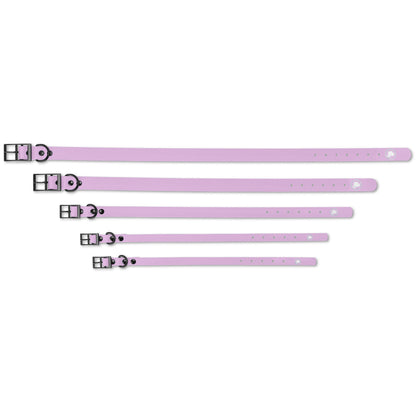 The Modern Dog Company - Weather-Resistant Blush Pink Collar