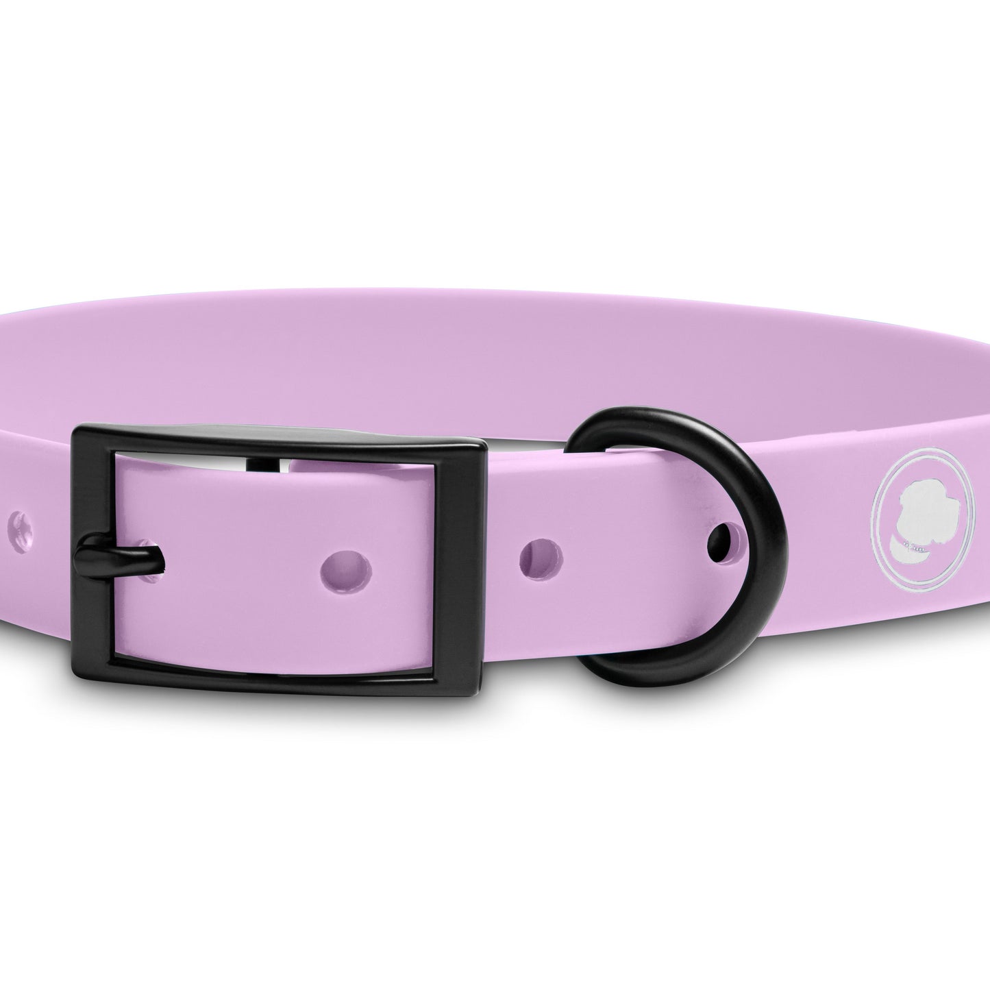 The Modern Dog Company - Weather-Resistant Blush Pink Collar