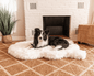 PupRug by Paw.com® Faux Fur Orthopedic Dog Bed - Curve Polar White