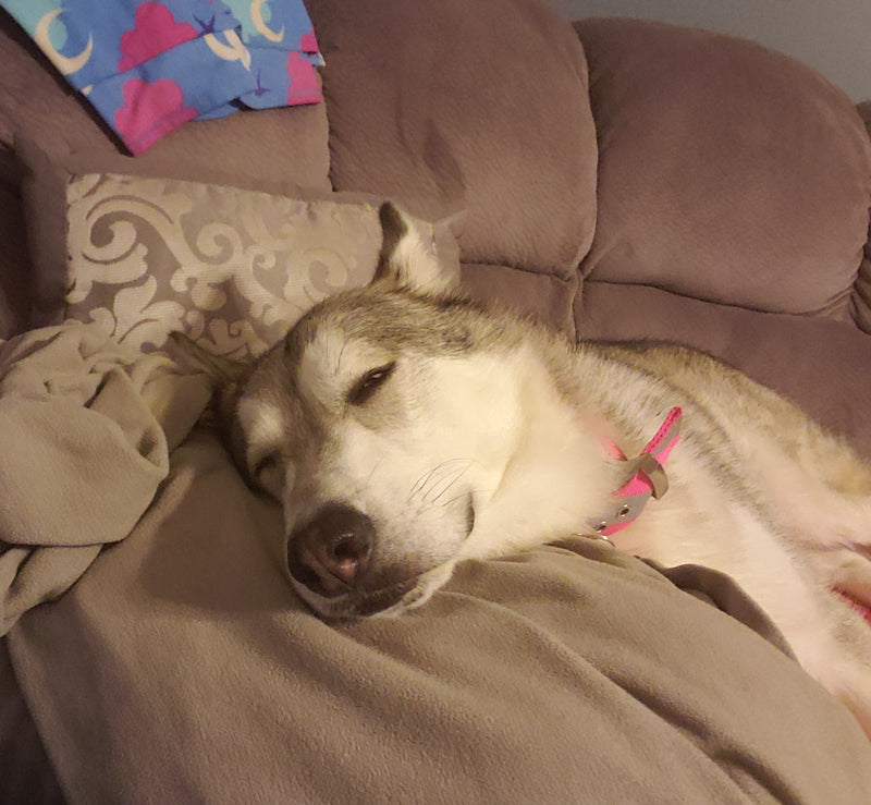 Luna