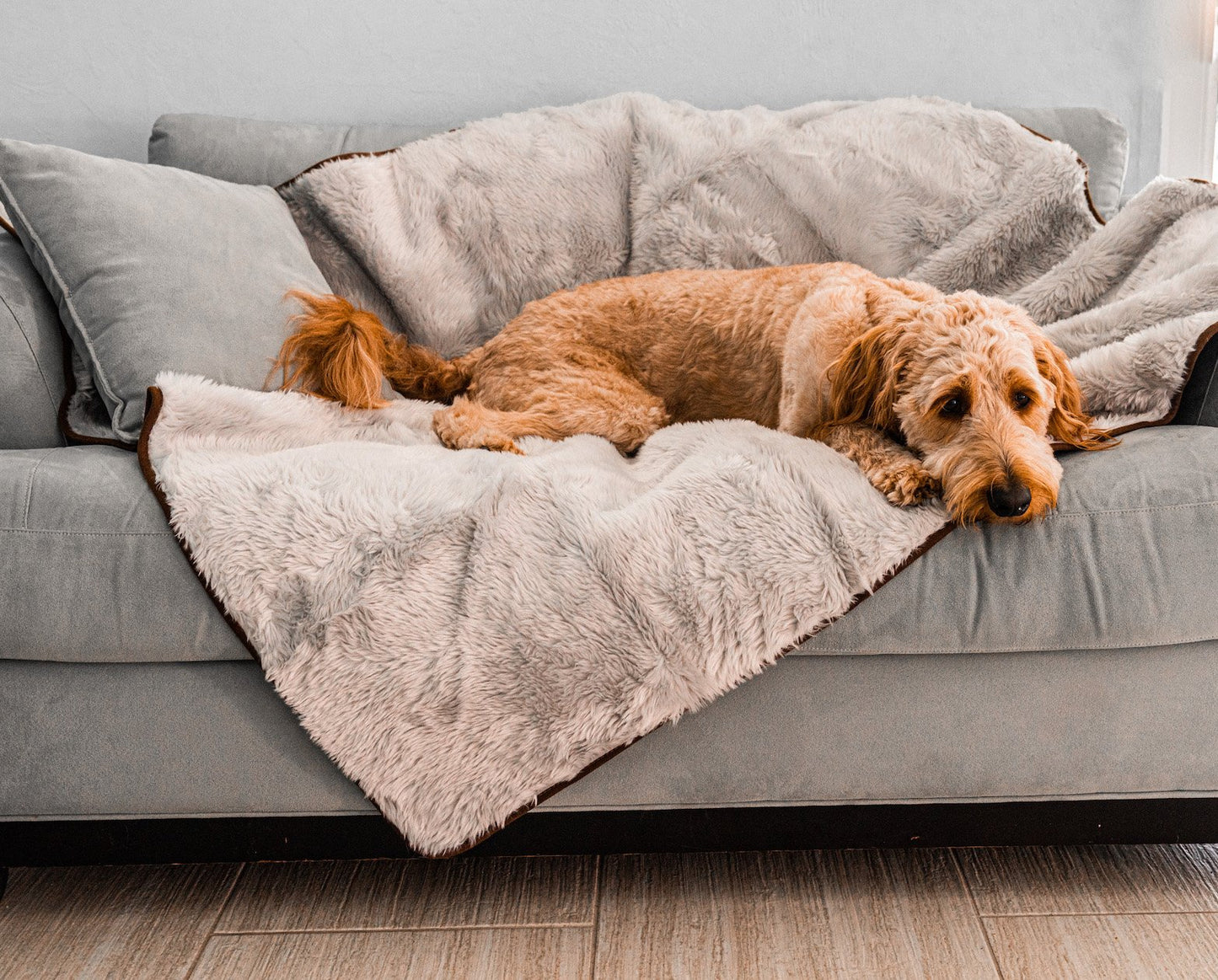 PupProtector™ Summer Short Fur Waterproof Throw Blanket - Grey