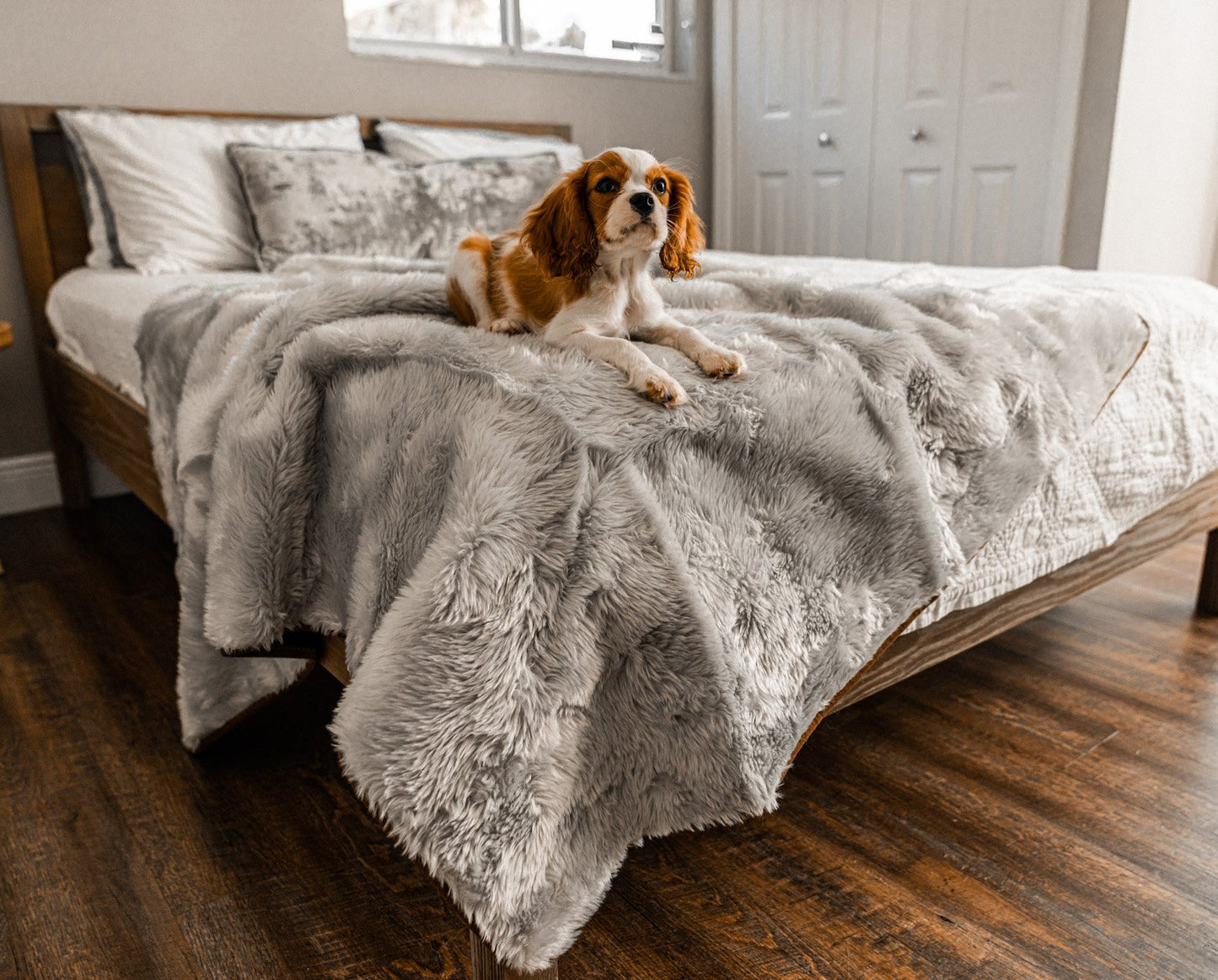 PupProtector™ Summer Short Fur Waterproof Throw Blanket - Grey