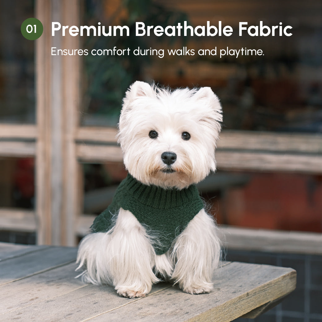 Pet Sweater Vest - Green