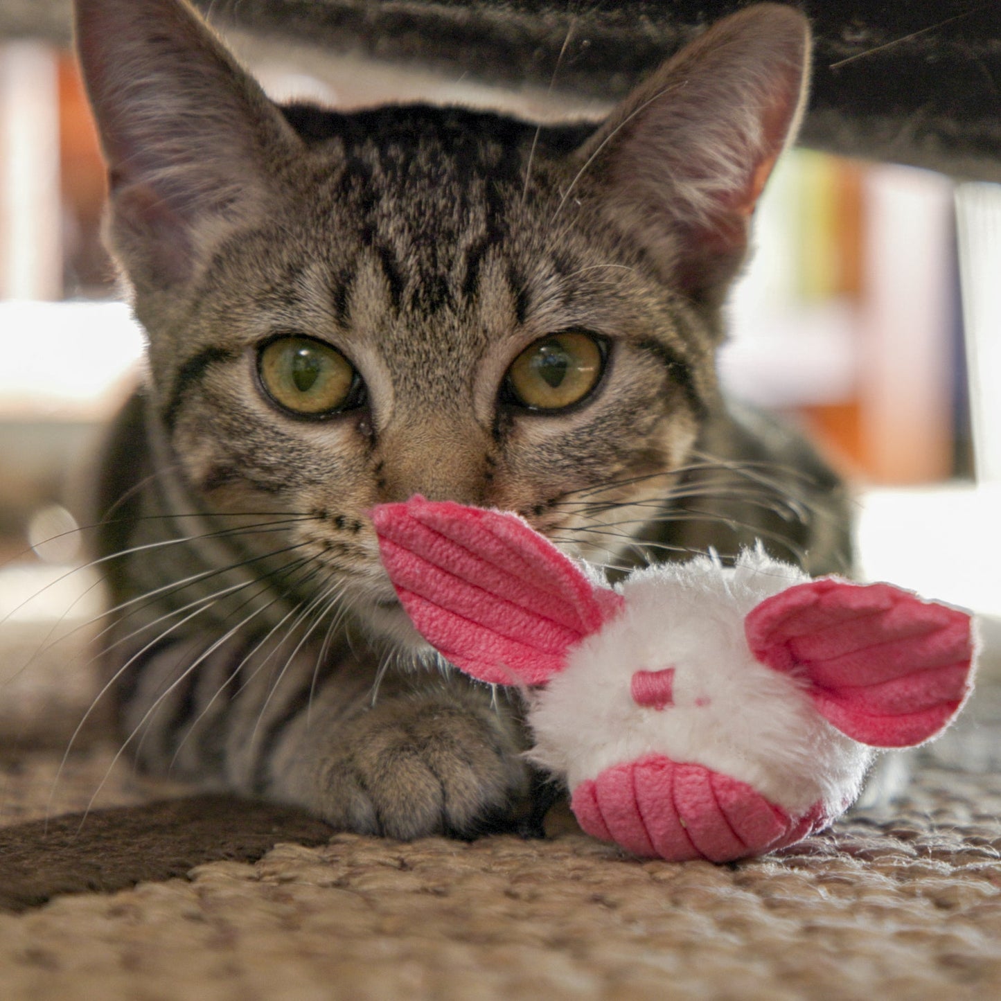 HuggleKats® Dust Bunnies Cat Toys, 3 Pack