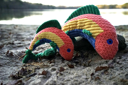 Rauccous Rainbow Trout Knottie® Plush Dog Toy