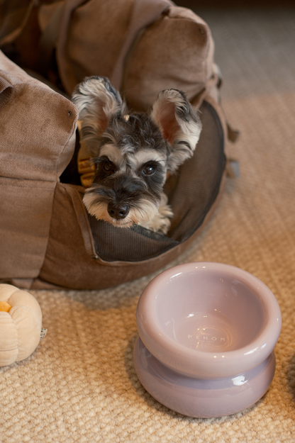 Soufflé Pet Bowl - Purple