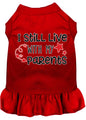 Pet Dress "I Still Live With My Parents"