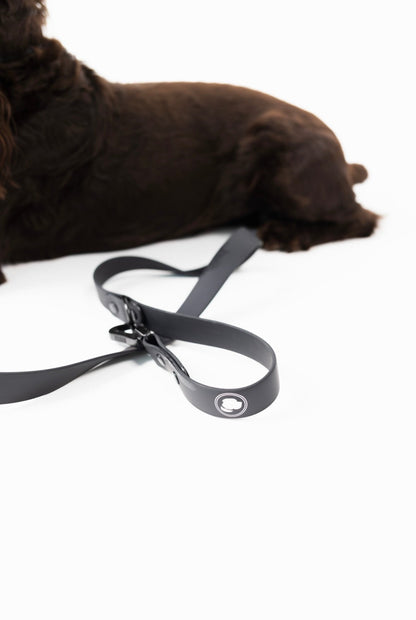 The Modern Dog Company - Better in Black Leash