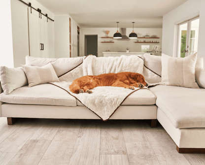 PupProtector™ Summer Short Fur Waterproof Throw Blanket - Polar White